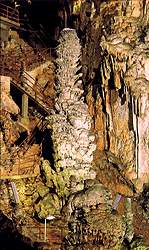 Die "Grotta Gigante" bei Triest